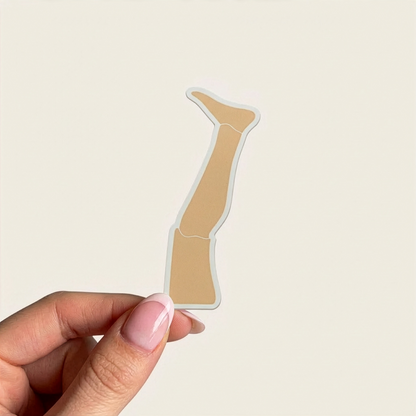 Stickers - Pack (10 pezzi)