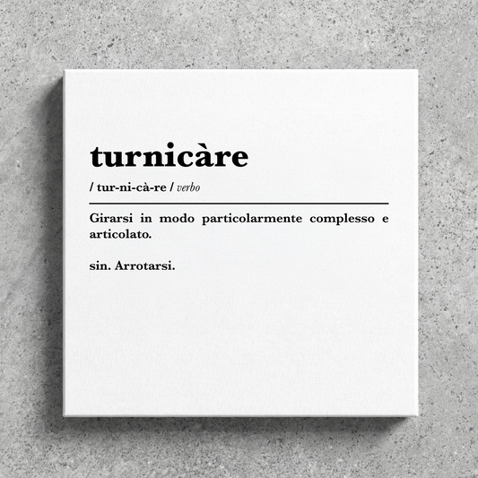Canvas - TURNICARE